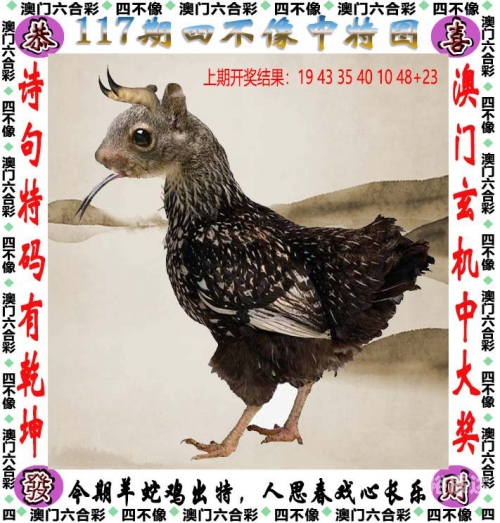 香港最准最快网站资料大全-第3张图片