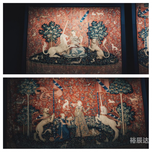 遗忘契约，揭开隐藏的秘密