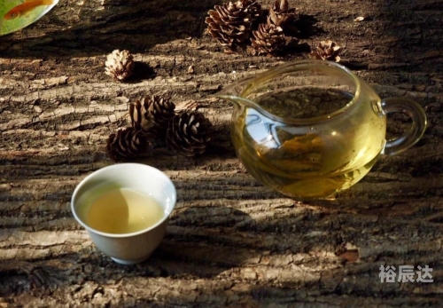 高黎贡山普洱茶，品味自然之韵