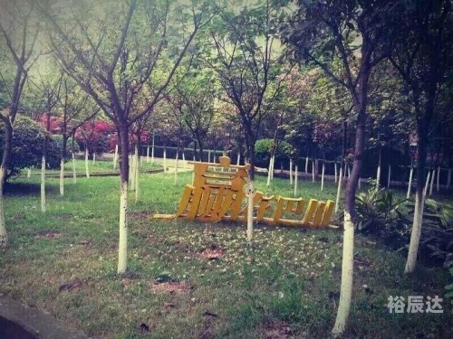 166中学地址166中学，教育新篇章-第3张图片