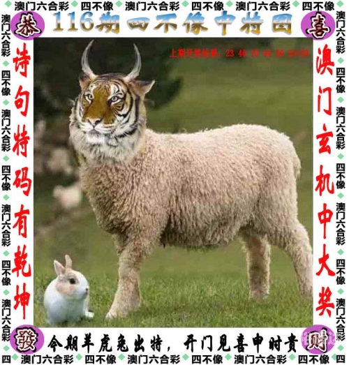 澳门第115期开奖结果直播澳门第115期开奖结果揭晓-第2张图片