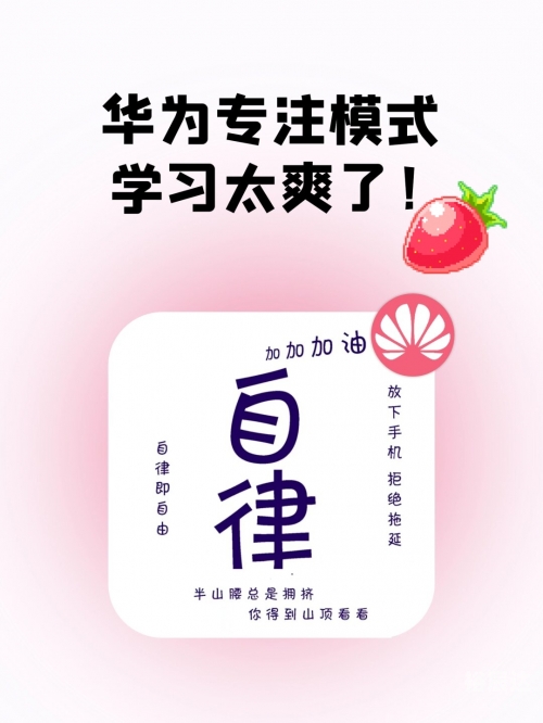 发掘网，网络探索的新篇章