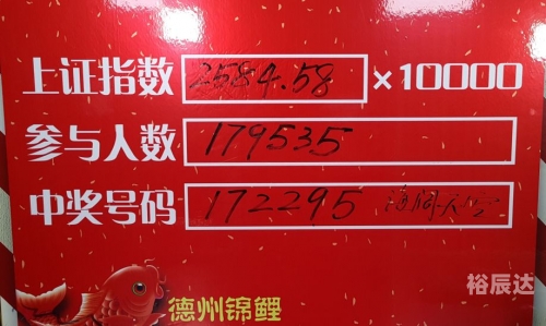 2024澳门六今晚开奖结果出来直播澳门六今晚开奖结果揭晓，展望未来-第2张图片