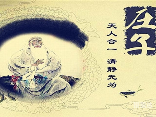 全职大宗师 东方树叶全职大宗师，引领行业新风尚-第2张图片