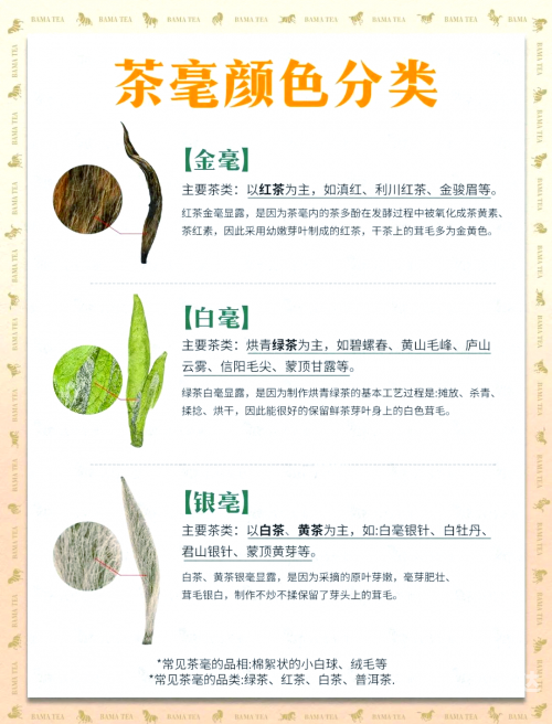 茶叶卫生标准与茶叶品质保障