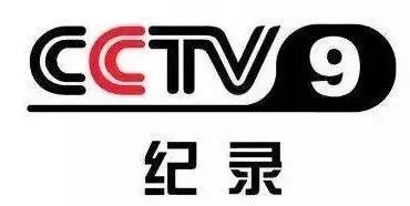 彩评网，彩评与网络文化的新篇章-第2张图片