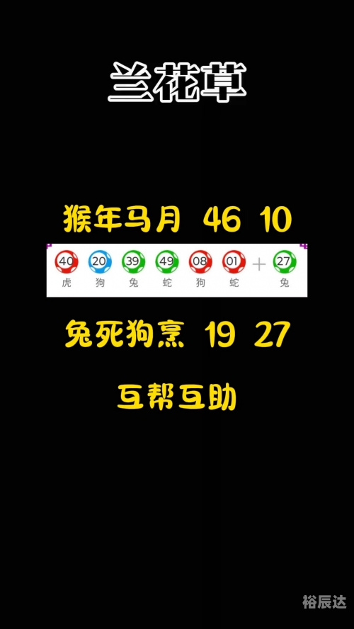 新奥历史开奖最新结果
