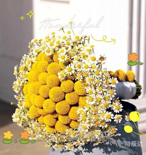 黄金球花黄金球，璀璨之球，价值非凡-第3张图片