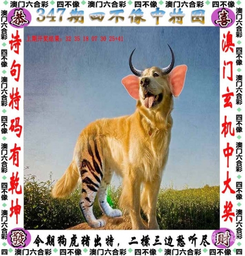 2024澳门特马今晚开奖138期澳门特马今晚开奖138期，展望未来-第2张图片