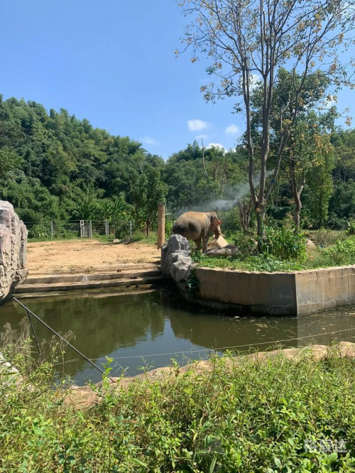 蝴蝶谷网址娱乐网，探索网络世界的奇妙之旅-第3张图片