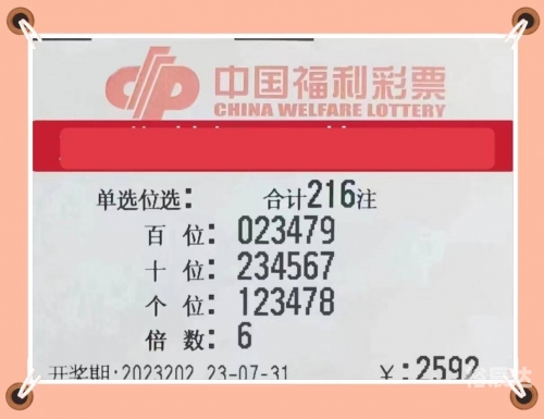 彩票王传奇，财富与梦想的交织-第2张图片