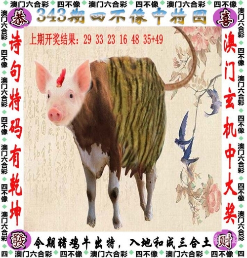 2024新奥正版资料大全2024新奥正版资料大全