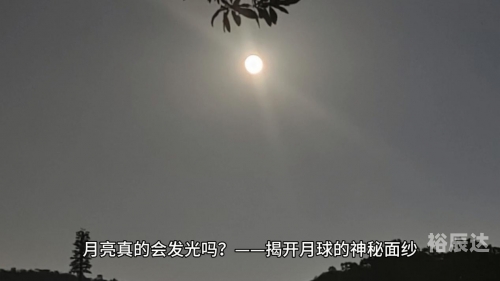 彩票程序，揭开神秘面纱-第1张图片