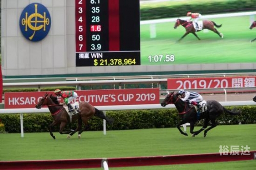 2019年马会全年免费资料2019马会全年免费资料大全