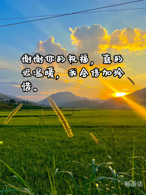 沈阳024聊天室，畅聊情感与生活的温馨港湾-第2张图片