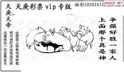 3d图谜画谜总汇3D图谜总汇，画谜的奇妙世界-第2张图片