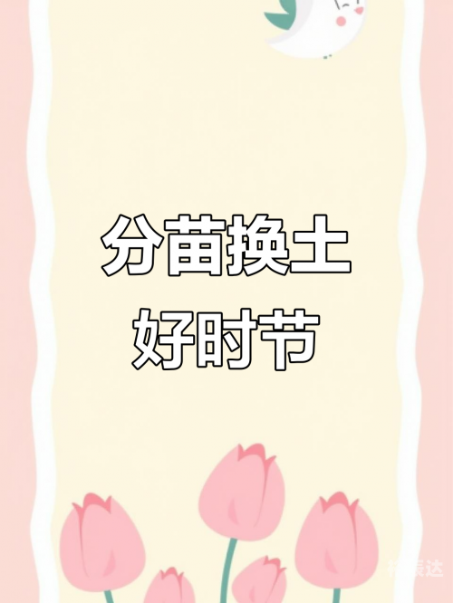 八月八日是什么日子