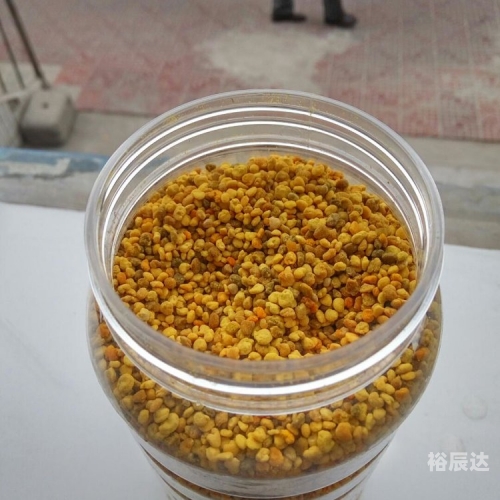 叉叉云游叉叉云游，探索数字时代的神秘世界