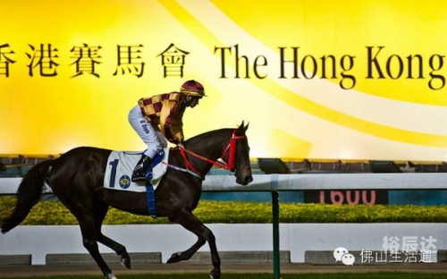 香港赛马会排位表 资料及赛果香港赛马会排位表揭晓