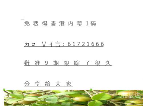 黄大仙论坛精选六肖黄大仙论坛精选六肖