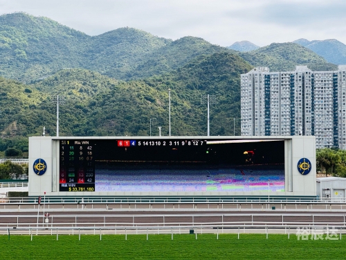 香港赛马会排位香港赛马会排位，赛马运动的荣耀与挑战-第2张图片