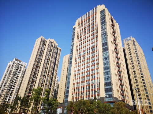益阳网，城市生活的新窗口-第3张图片
