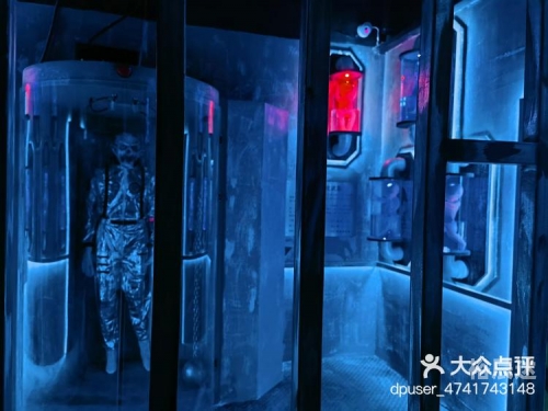 穿越娱乐圈，星光背后的传奇之旅