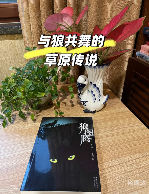 广西的狼精英论坛网广西狼精英论坛，探索狼性精神的卓越之地-第1张图片