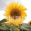 江苏村官不雅视频江苏村官不雅视频事件，揭示基层官员的丑陋与失范-第2张图片