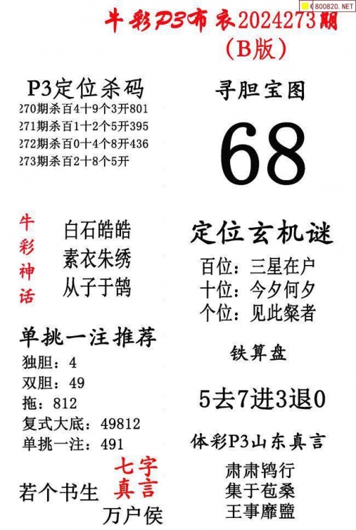 2024精华版布衣图全图解析-第2张图片
