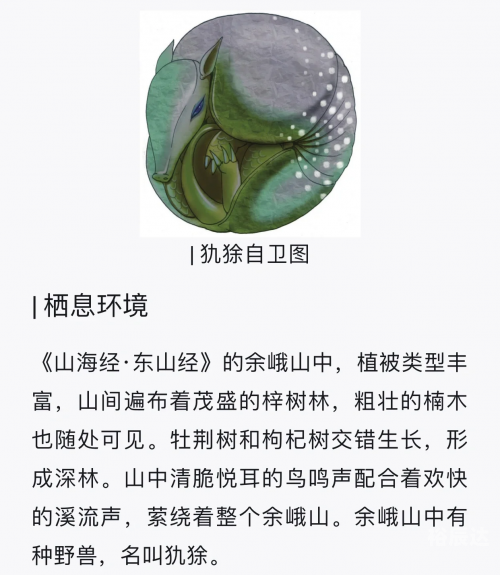 吼吼鲸几级进化吼吼鲸，海洋中的神秘生物-第3张图片