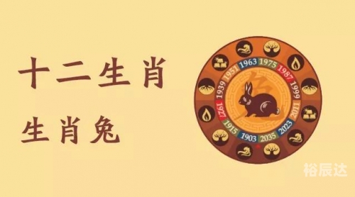 2020年生肖灵码表图片最新版2020年生肖灵码表图片