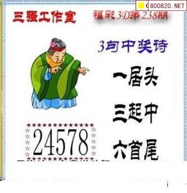 双彩网3d双彩网3D，探索数字娱乐新篇章
