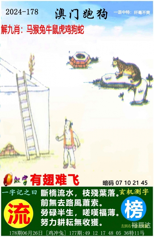 跑狗报一字记之曰:处之泰然跑狗报，探索与挑战
