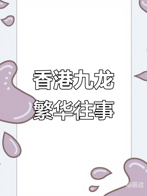 九龙老牌图库九龙老牌图库，传统与现代的完美结合