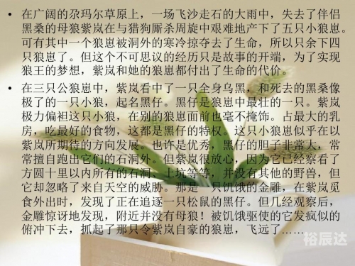 狼王梦在线阅读狼王梦在线阅读
