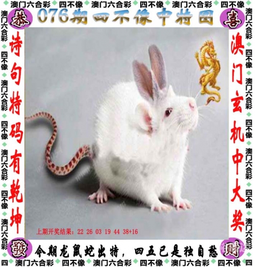 管家婆精准期期选一肖香港，智慧生活新篇章-第1张图片
