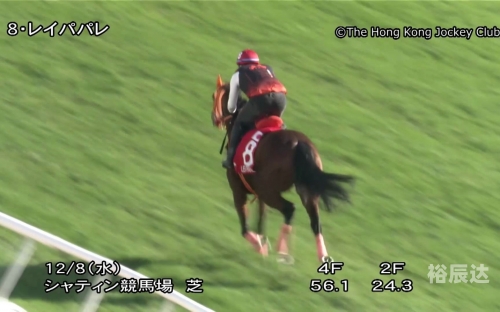 香港马现场开奖结果2021香港马现场开奖结果2021-第1张图片