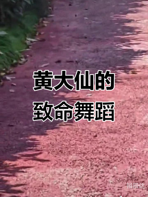 黄大仙论坛精选六肖，探秘神秘预测-第2张图片