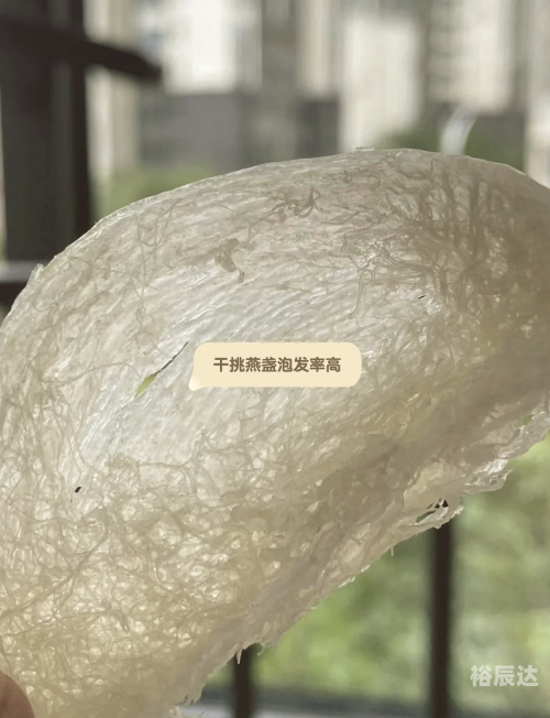 白燕窝燕盏多少一克白燕窝，天然滋补佳品-第2张图片