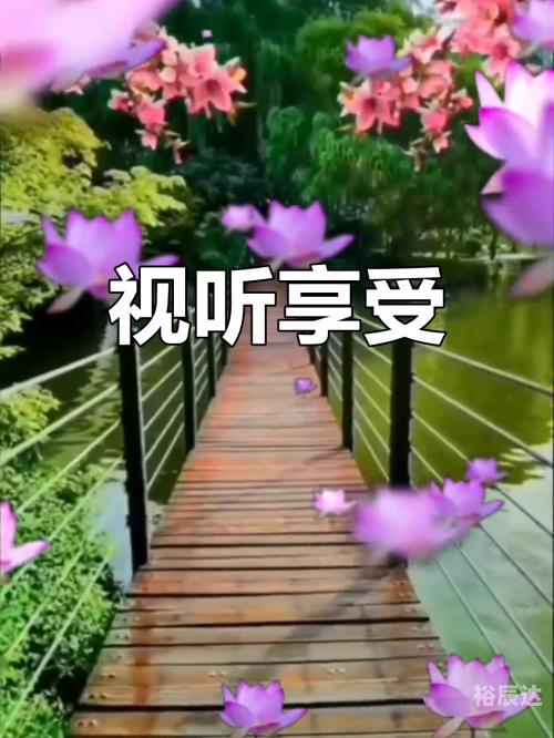 音画论坛大全音画论坛，探索音乐与视觉艺术的交汇之地