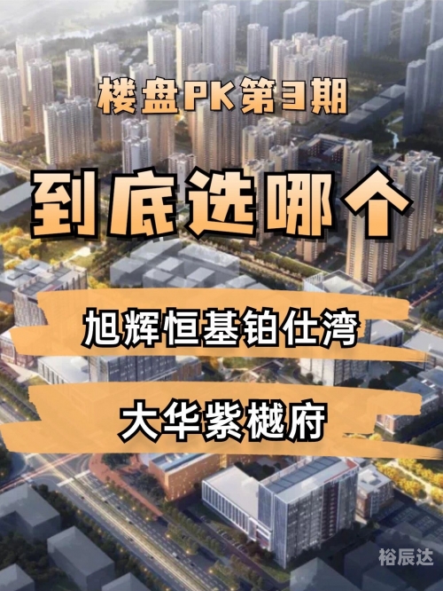 红姐统一图库88849，智慧之选，精准之选-第2张图片