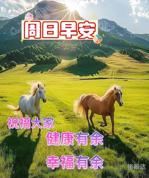 快乐12，生活中的美好时刻-第3张图片