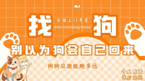 跑狗网出版.www66554跑狗网出版，引领宠物文化新篇章