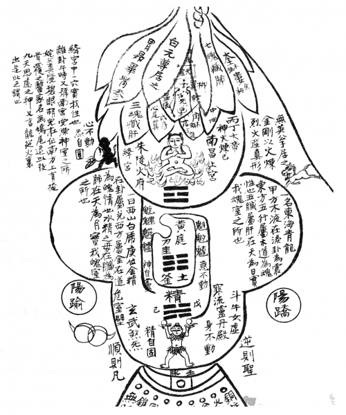 二四六免费玄机图，解锁神秘世界的秘密
