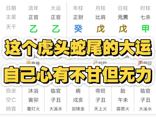 虎头蛇尾最准的一肖最准的一肖，揭秘预测未来