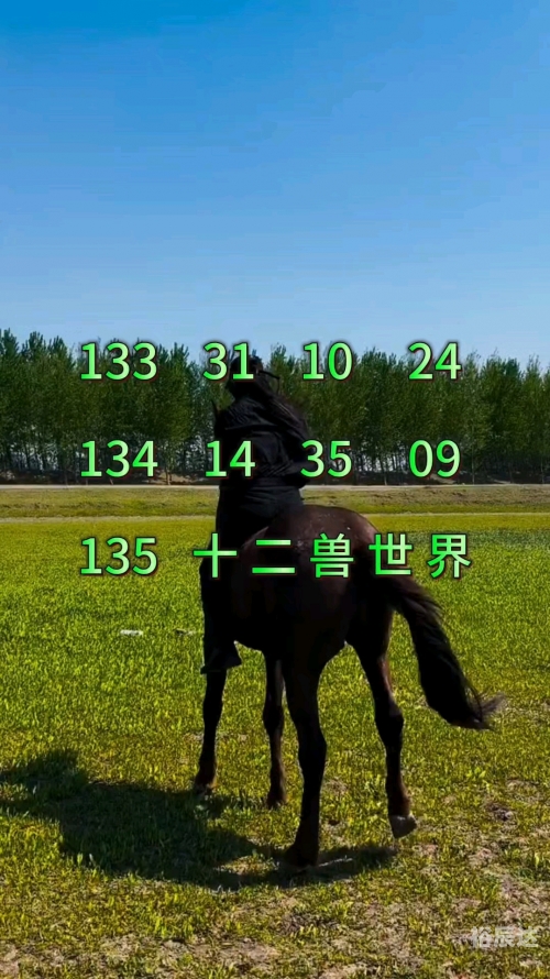 虎头蛇尾最准的一肖最准的一肖，揭秘预测未来-第2张图片
