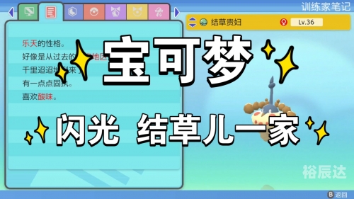 珍珠钻石攻略珍珠钻石攻略
