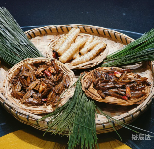 博尔塔拉美食博尔塔拉美食之旅