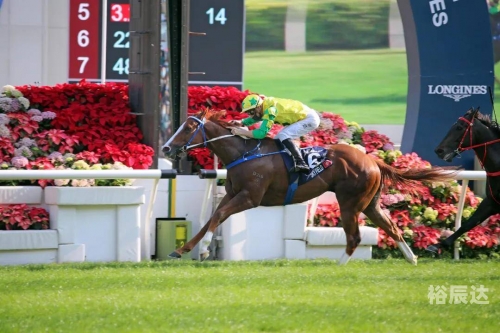 香港马现场开奖结果2021香港马现场开奖结果2021-第2张图片
